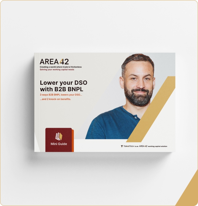 AREA42 Lower your DSO with B2B BNPL mini guide downloadable publication