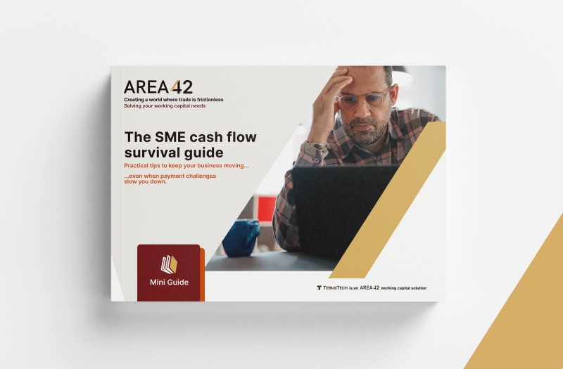 AREA42 SME cash flow survival guide free downloadable publication featuring TermsTech B2B BNPL and payment terms