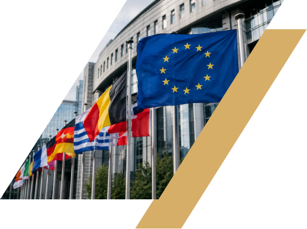 What is the Late Payments Regulation in the EU? How does it change payments? A one-day payment delay reduction saves companies €158 million. 14 payments Q&As.
